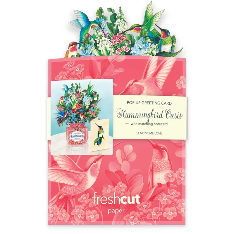 Mini Hummingbird Oasis