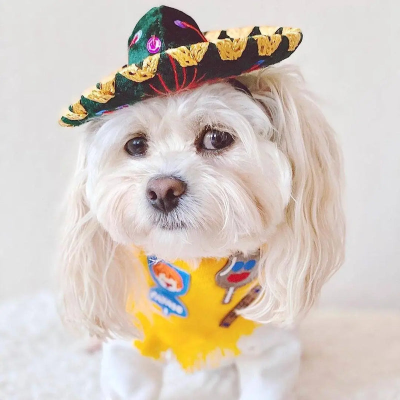 Dog Hat | Cat Hat, Mariachi Hat, Cute Puppy Hat