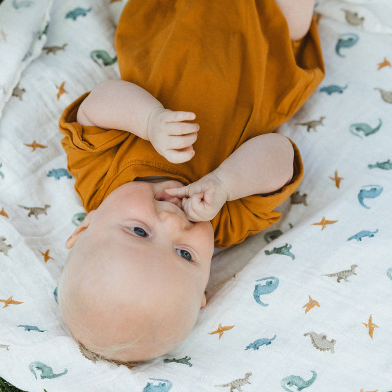 Organic Cotton Muslin Swaddle Blanket | Little Dino