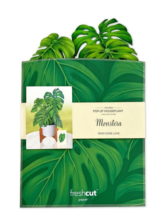 FRESHCUT PAPER Greeting & Note Cards FreshCut Paper | Monstera Plant