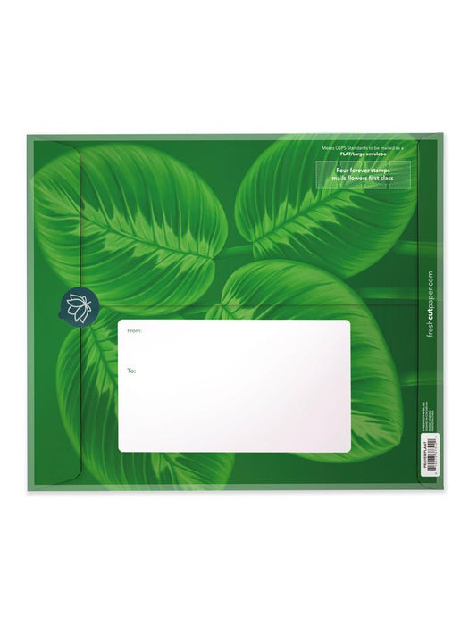 FRESHCUT PAPER Greeting & Note Cards FreshCut Paper | Prayer Plant