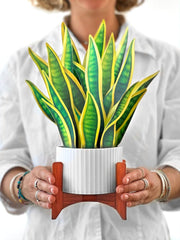 FRESHCUT PAPER Greeting & Note Cards FreshCut Paper | Snake Plant