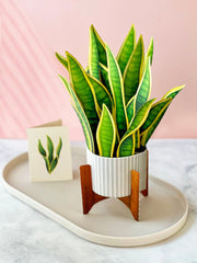 FRESHCUT PAPER Greeting & Note Cards FreshCut Paper | Snake Plant