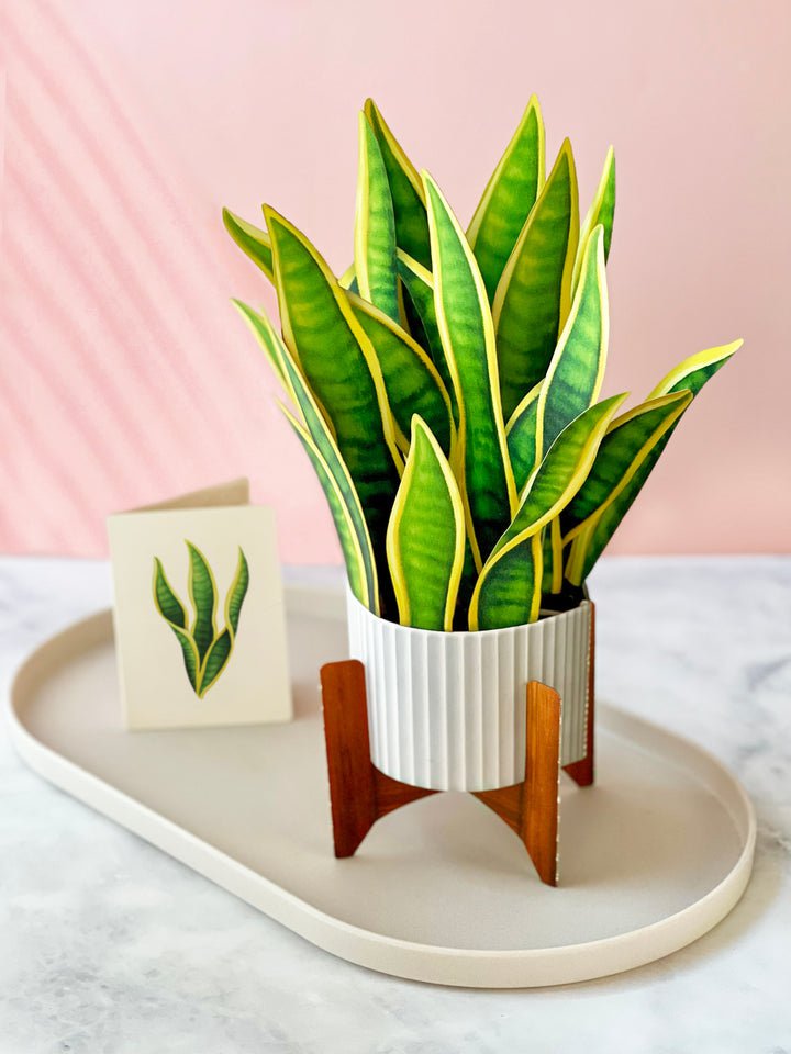 FRESHCUT PAPER Greeting & Note Cards FreshCut Paper | Snake Plant
