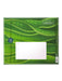 FRESHCUT PAPER Greeting & Note Cards FreshCut Paper | Snake Plant