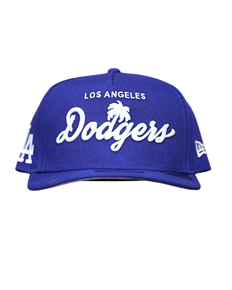 Los Angeles Dodgers Palm 9FIFTY Snapback