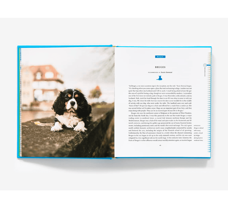 HACHETTE Books Fifty Places to Travel with Your Dog Before You Die: Dog Experts Share the World's Greatest Destinations