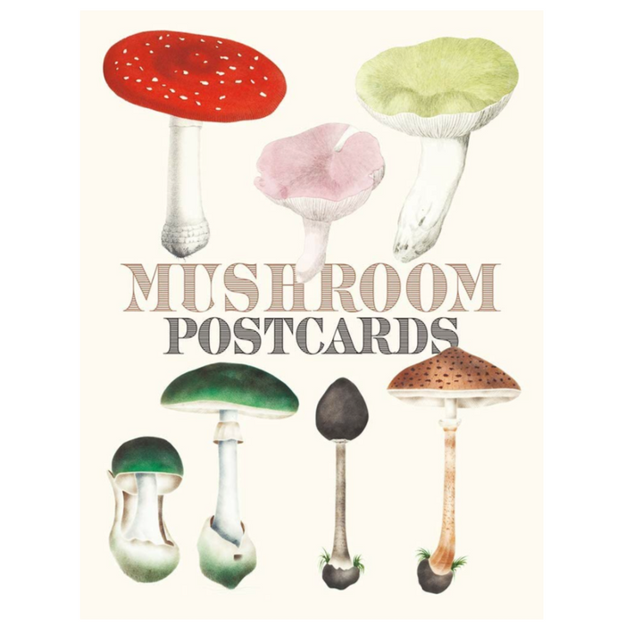 INGRAM STATIONERY Mushroom Postcards
