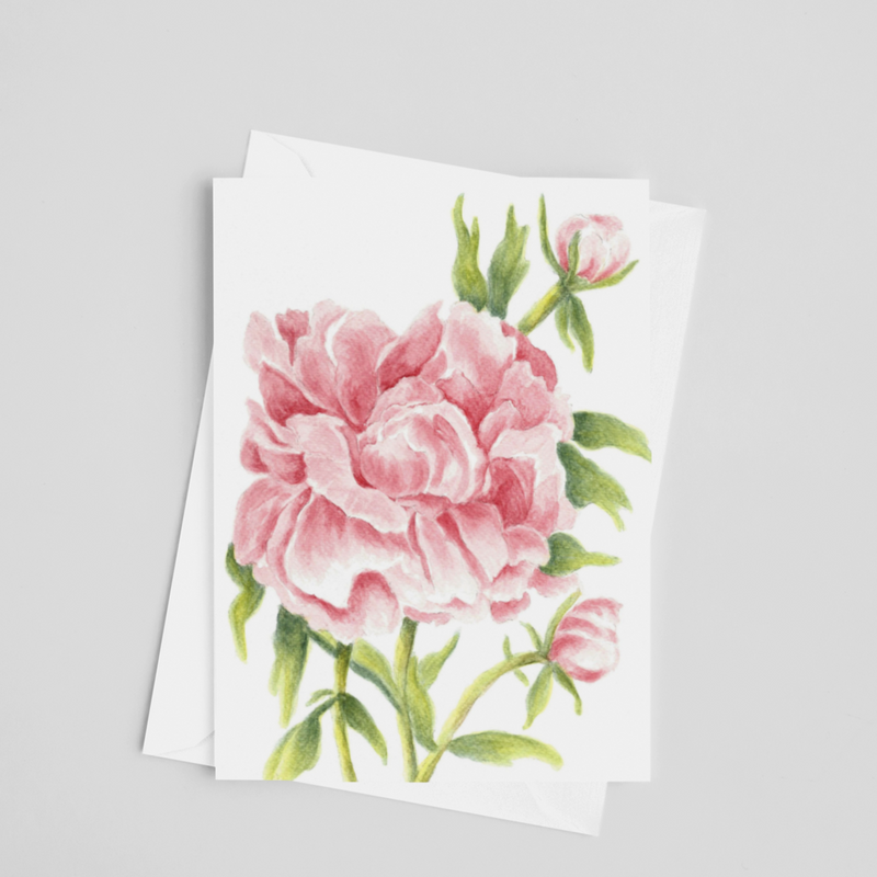 Peony Flower Greeting Card