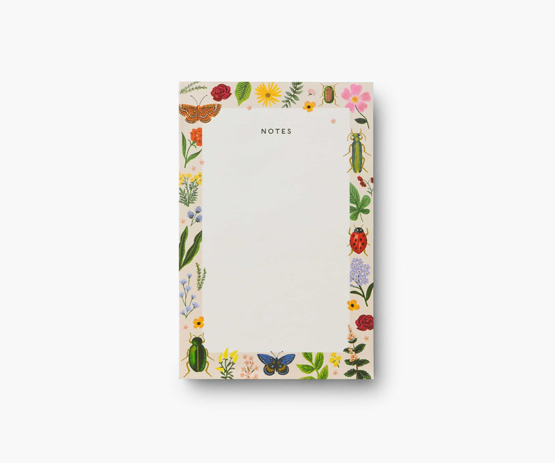 Curio Notepad - LOCAL FIXTURE
