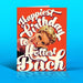 OFFENSIVE + DELIGHTFUL CARDS Birthday B*Tch Card