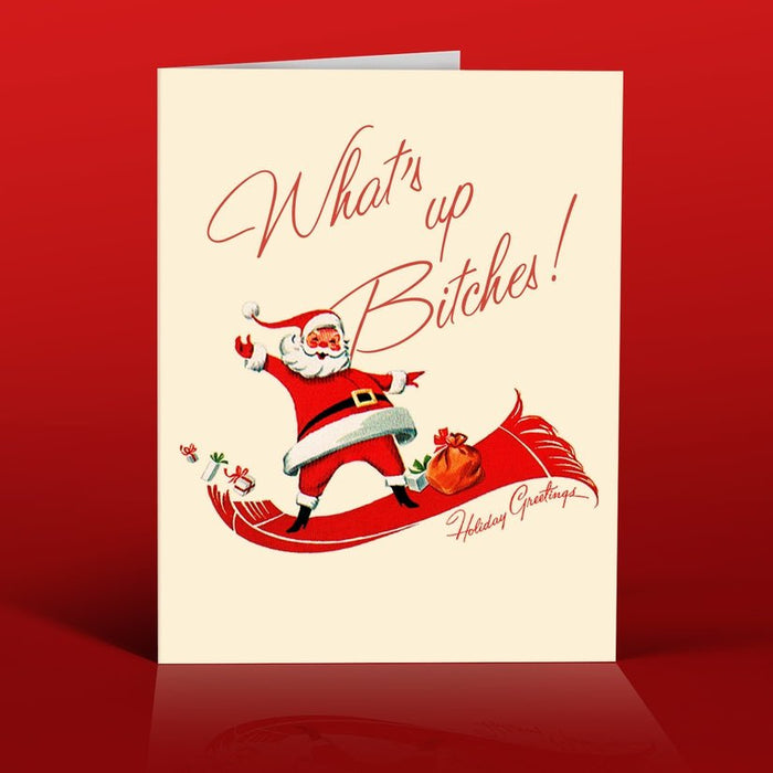 OFFENSIVE + DELIGHTFUL CARDS Santa Bitches Card