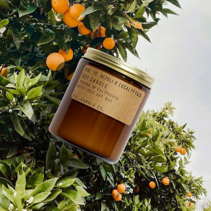 P.F. CANDLE CO CANDLE Soy Candle | Limited Edition - Neroli & Eucalyptus