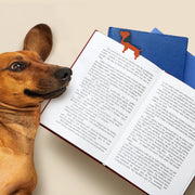 Corgi steel bookmark clipped onto a book page