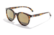 SUNSKI SUNGLASSES TORTOISE FLASH GOLD Sunski Sunglasses | Makani