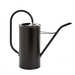 ACCENT DECOR ACCESSORIES Fletch Watering Can