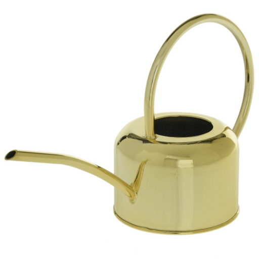 ACCENT DECOR PLANT ACCESSORIES Henri Watering Can