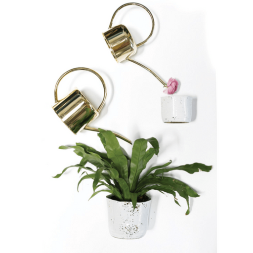 ACCENT DECOR PLANT ACCESSORIES Henri Watering Can