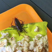 FRED & FRIENDS ROACH BAG CLIPS - LOCAL FIXTURE