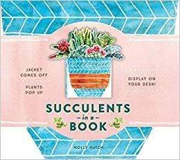 Succulents in a Book - LOCAL FIXTURE