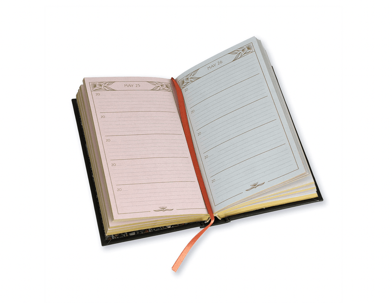 HACHETTE Books Nouveau One Line a Day: A Five-Year Memory Book