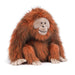 JELLYCAT PLUSH TOY Jellycat Oswald Orangutan