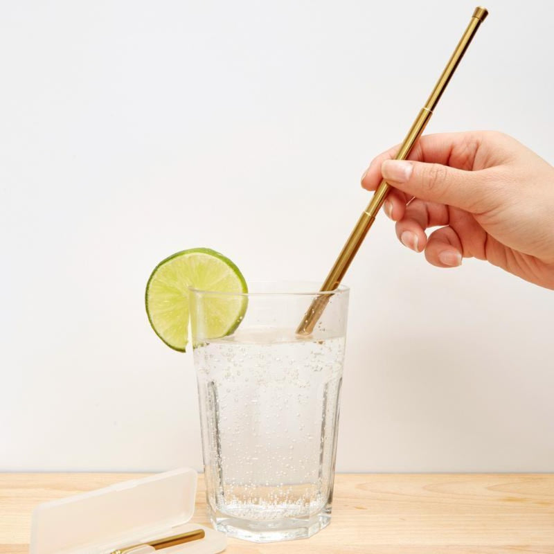 KIKKERLAND KITCHEN Travel Straw Set