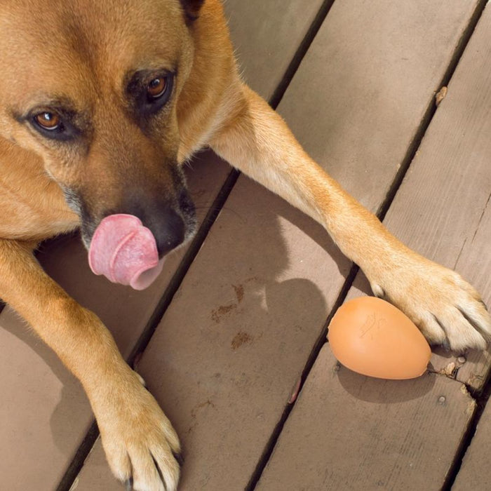 KIKKERLAND PET TOY Bouncy Egg Treat Ball