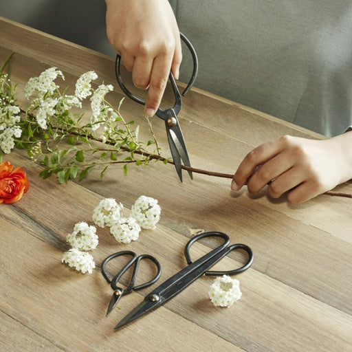 KIKKERLAND TOOL Scissor Set For Garden