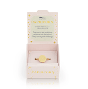 LUCKY FEATHER JEWELRY Capricorn Zodiac Signet Ring