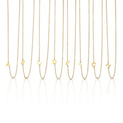 LUCKY FEATHER JEWELRY Celebrate Initial Necklace + Card Set