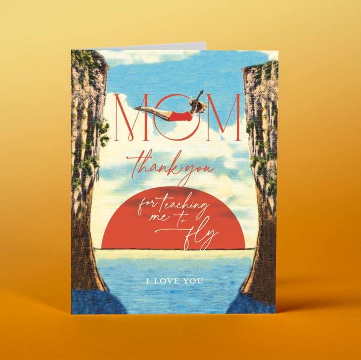 OFFENSIVE + DELIGHTFUL CARDS Mom Fly Card