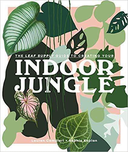 INDOOR JUNGLE BOOK - LOCAL FIXTURE