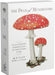 PENGUIN RANDOM HOUSE BOOK The Deck of Mushrooms: An illustrated field guide to fascinating fungi